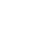 Mid-Hudson Limousine Service